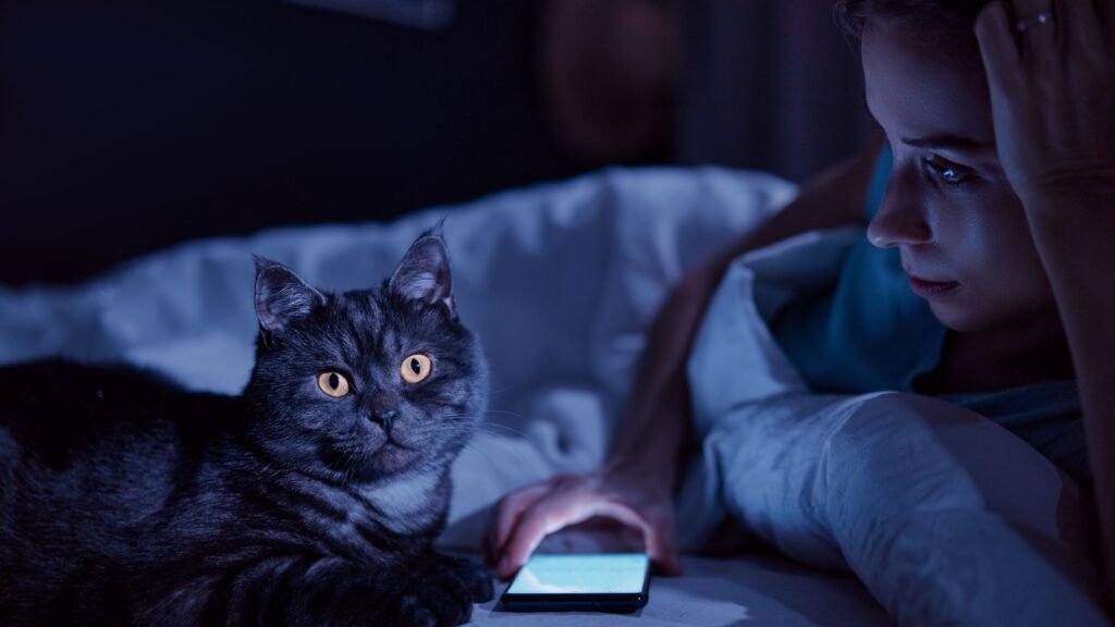 Woman in bed with her phone and het cat at night.